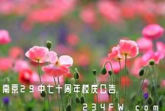 南京29中七十周年校庆公告